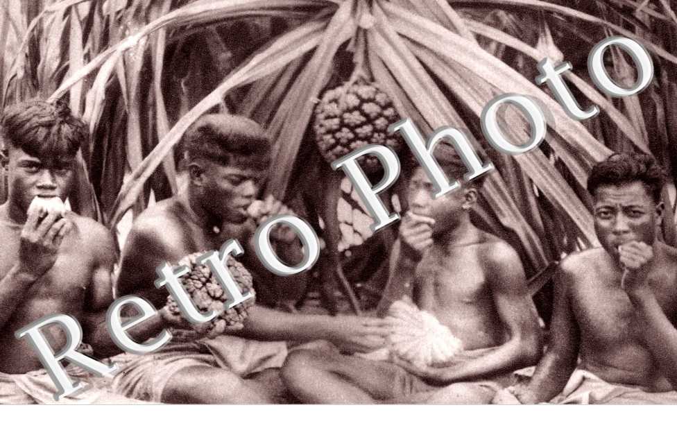 Indigenes mangeant le fruit du Pandanus