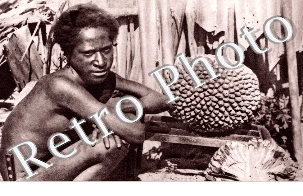 Type Indigene
