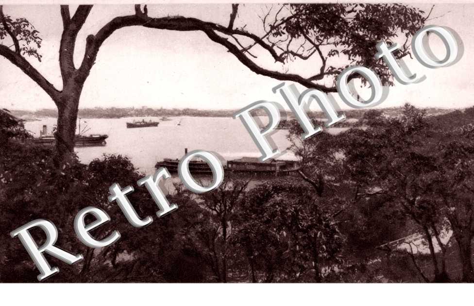 View from Taronga Park
