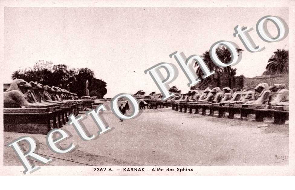 Allee des Sphinx