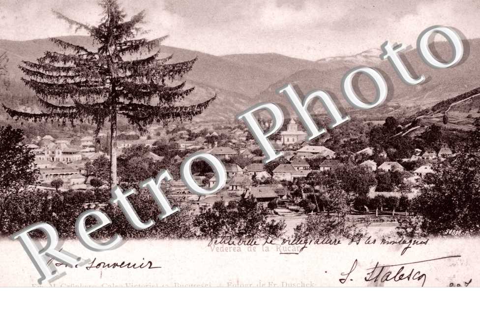 Vederea