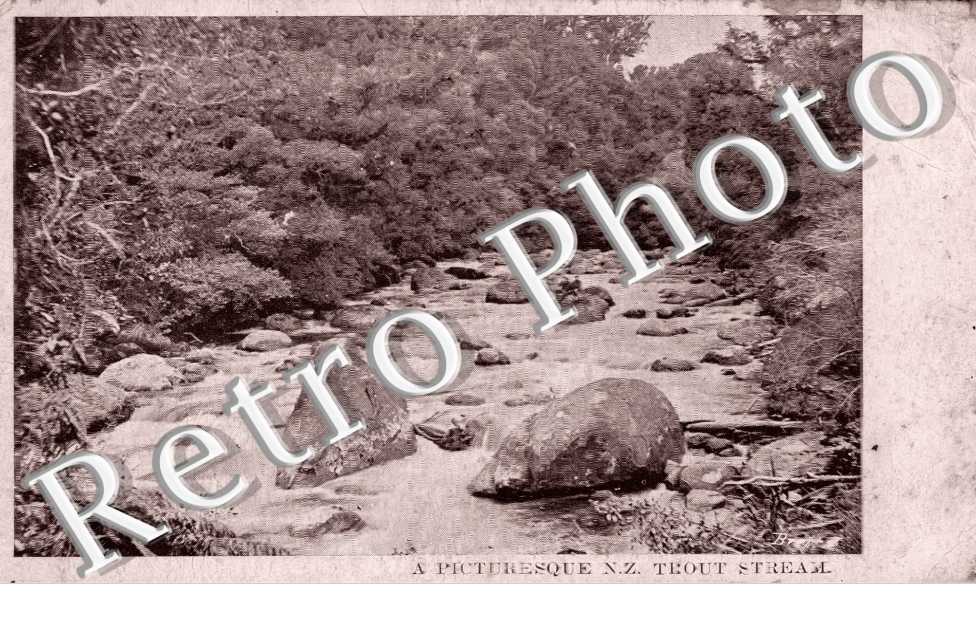 A Picturesque N. Z. Trout Stream