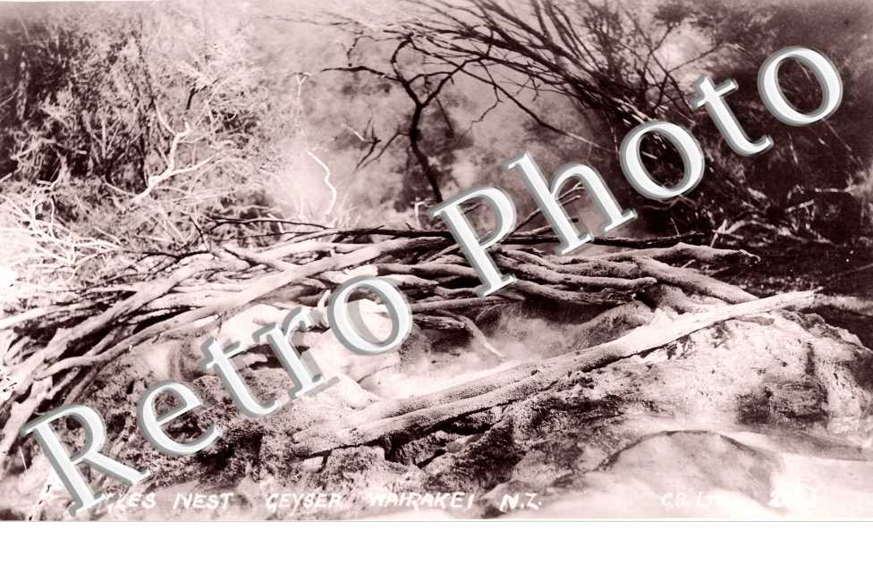 Eagles Nest Geyser