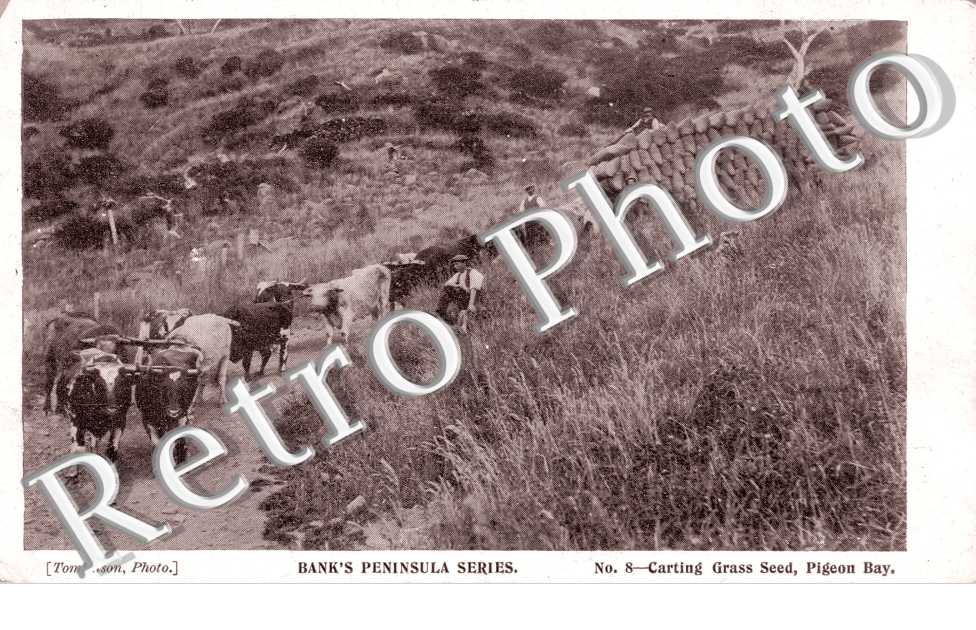 Bank&#039;s Peninsula Series