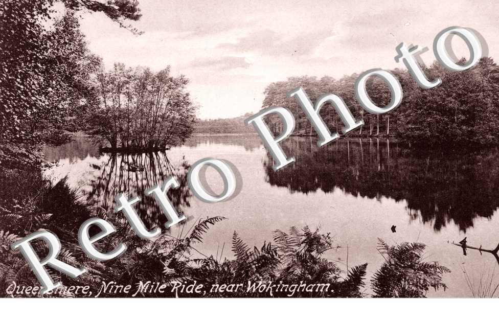 Queensmere, Nine Mile Ride