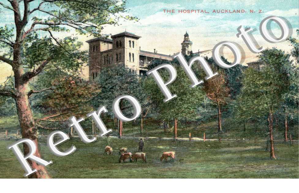  The Hospital