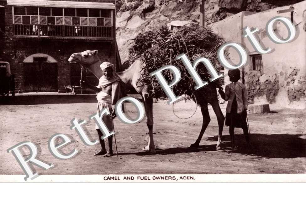 Camel and Fuel Owners