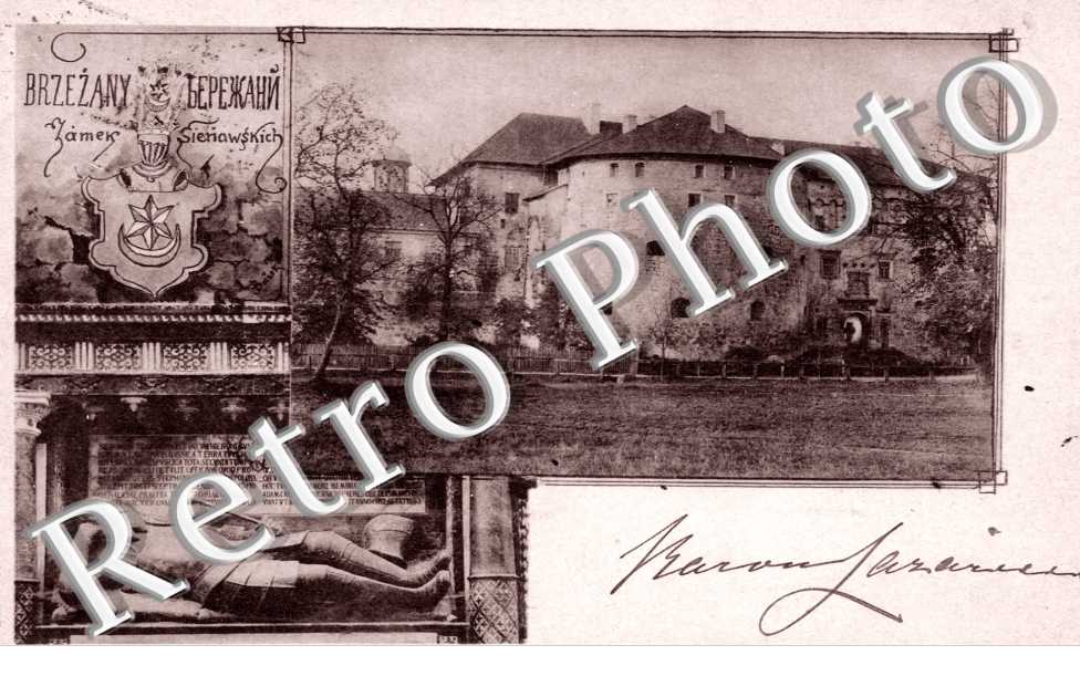 Brzenay, Zamek
