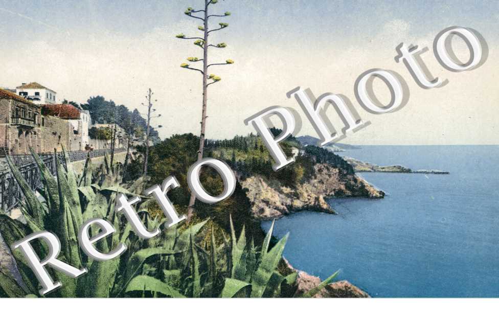 Boninovo