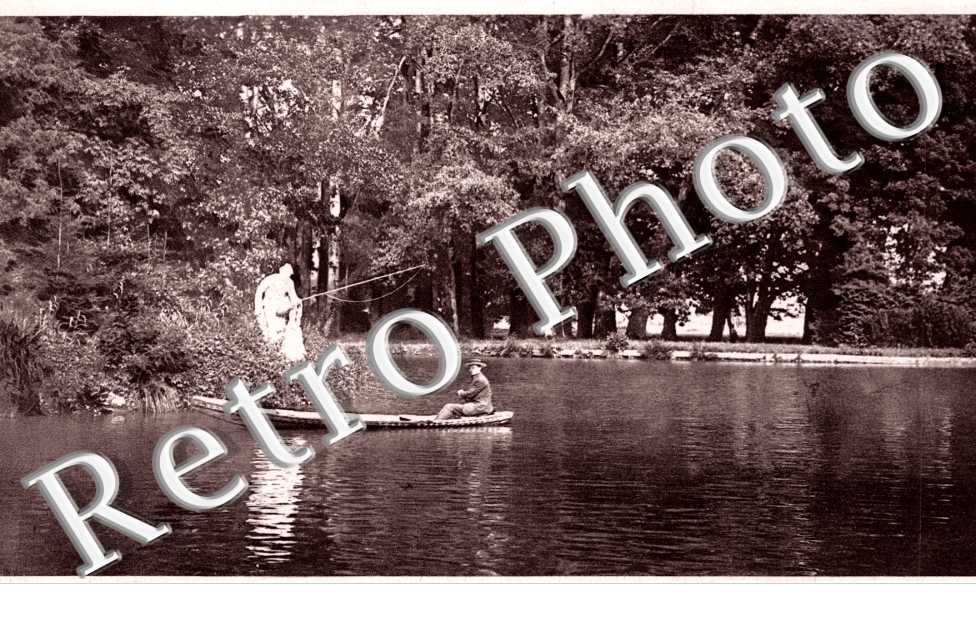 Maksimir