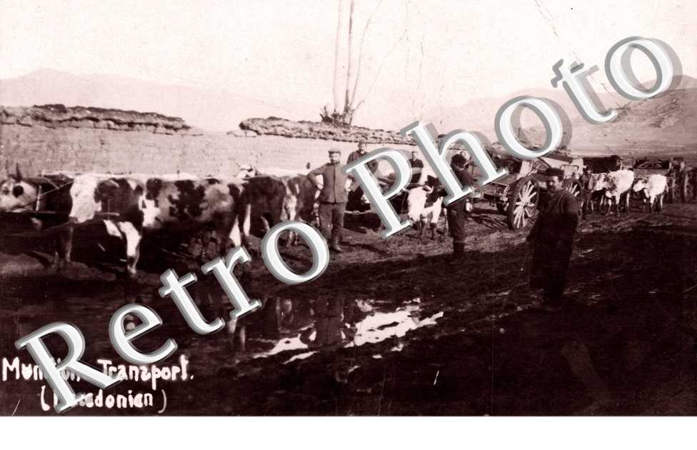Munitiona Transport