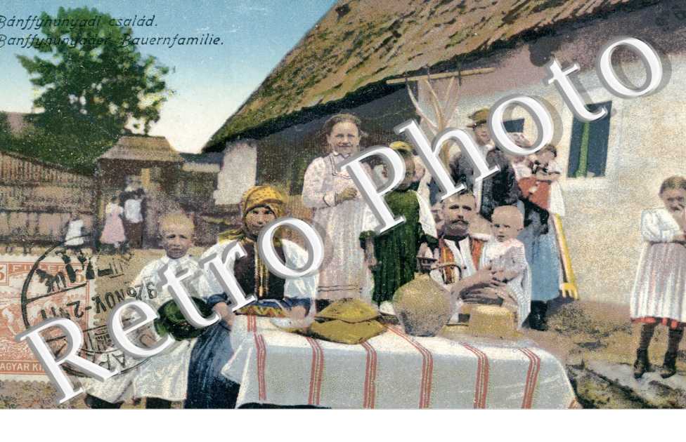 Banffyhunyadi csalad