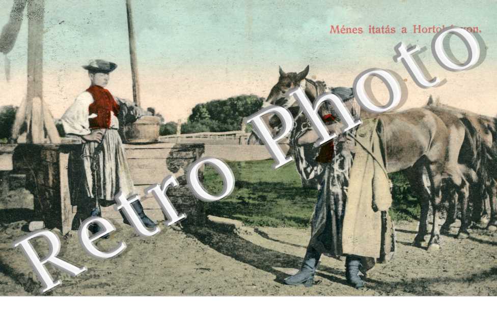 Menes itatas a Hortobagyon