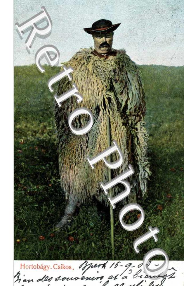 Hortobagy Csikos