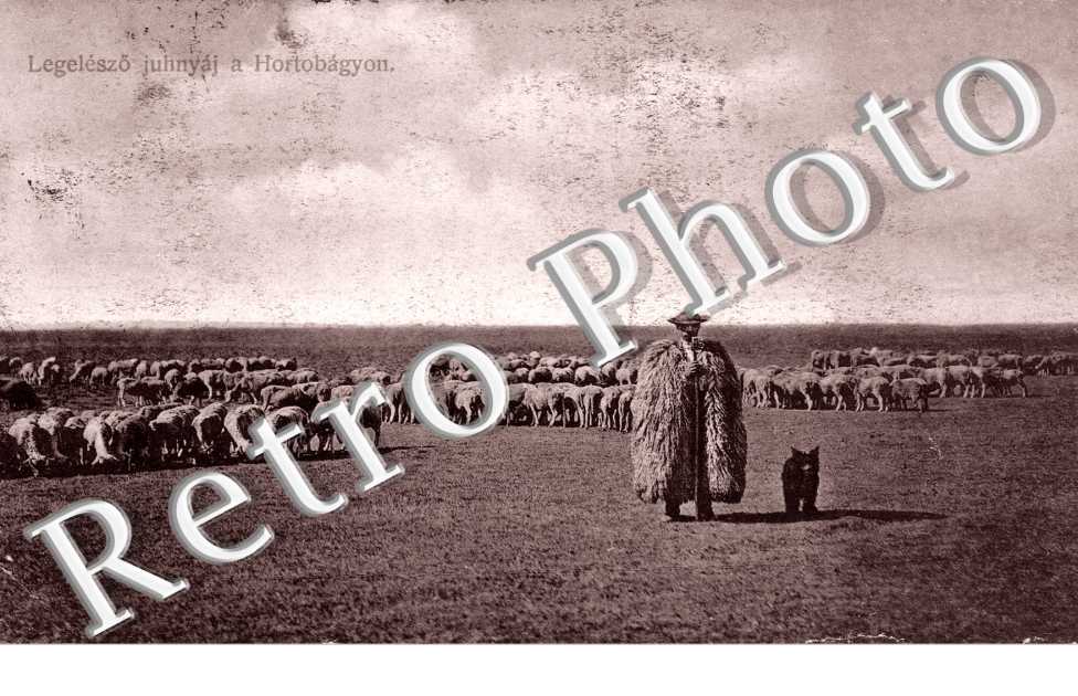 Legeleszco juhnyaj a Hortobagyon