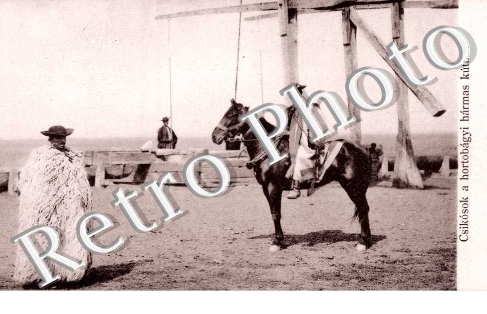 Csikosok a Hortobagyi harmas kutnal