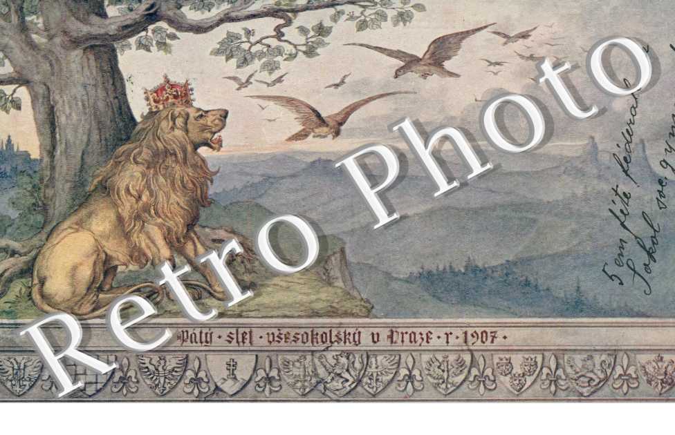 Paty slet vsesokolsky u Praze