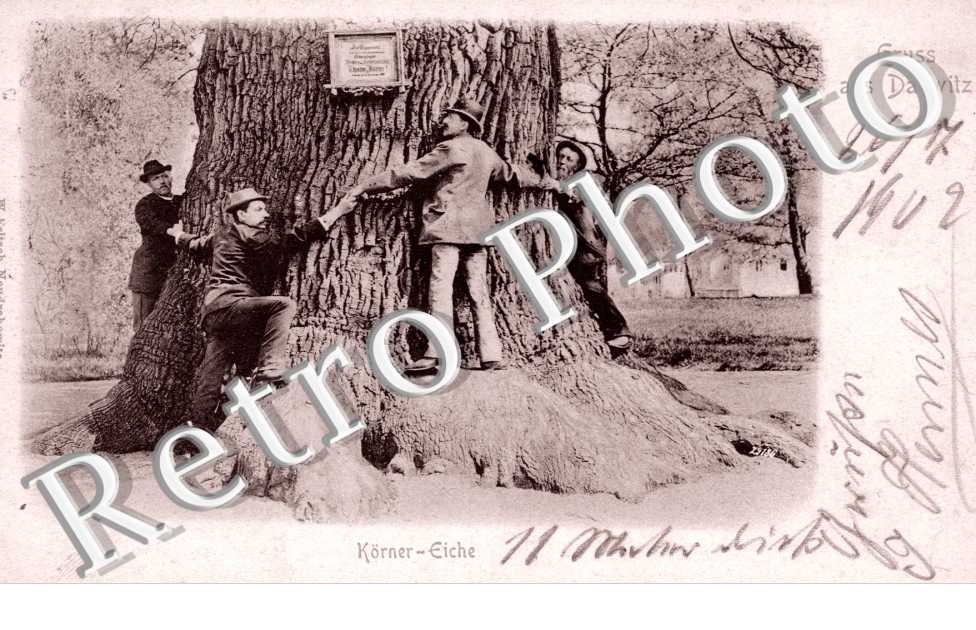 Korner Eiche