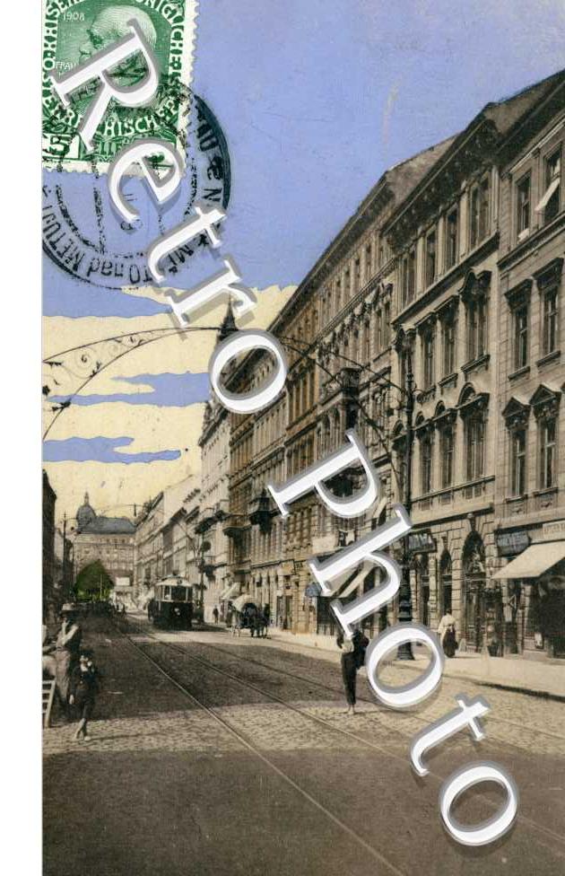 Karlin, Kralovska trida