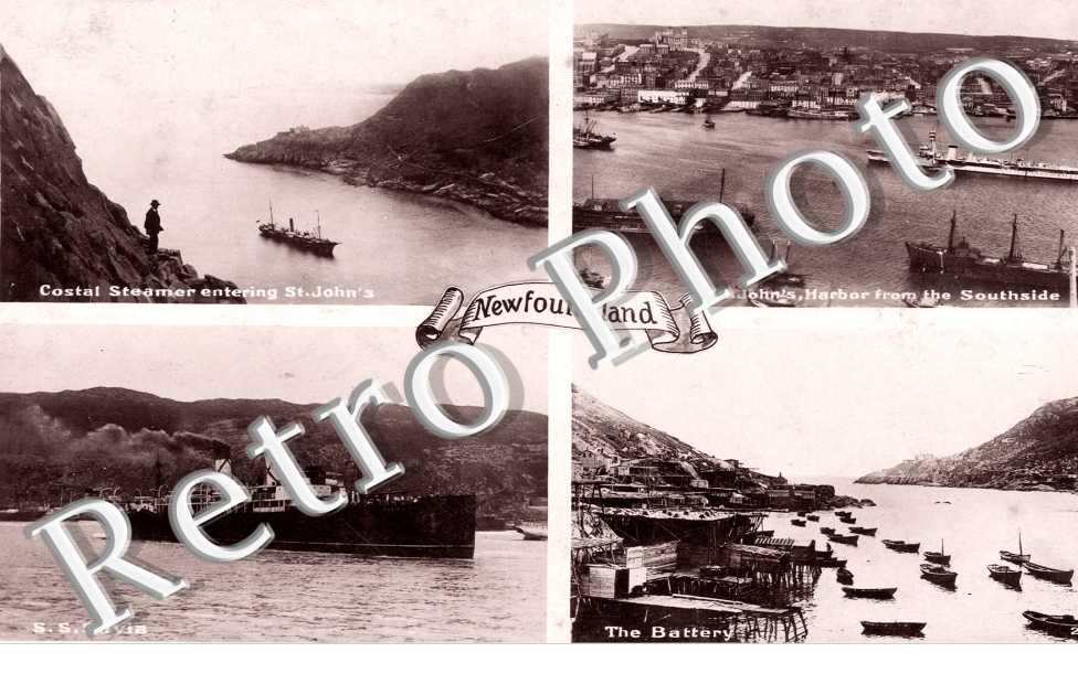 Newfoundland