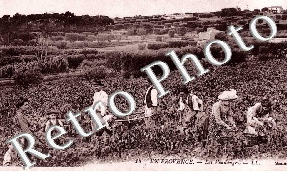 les Vendanges