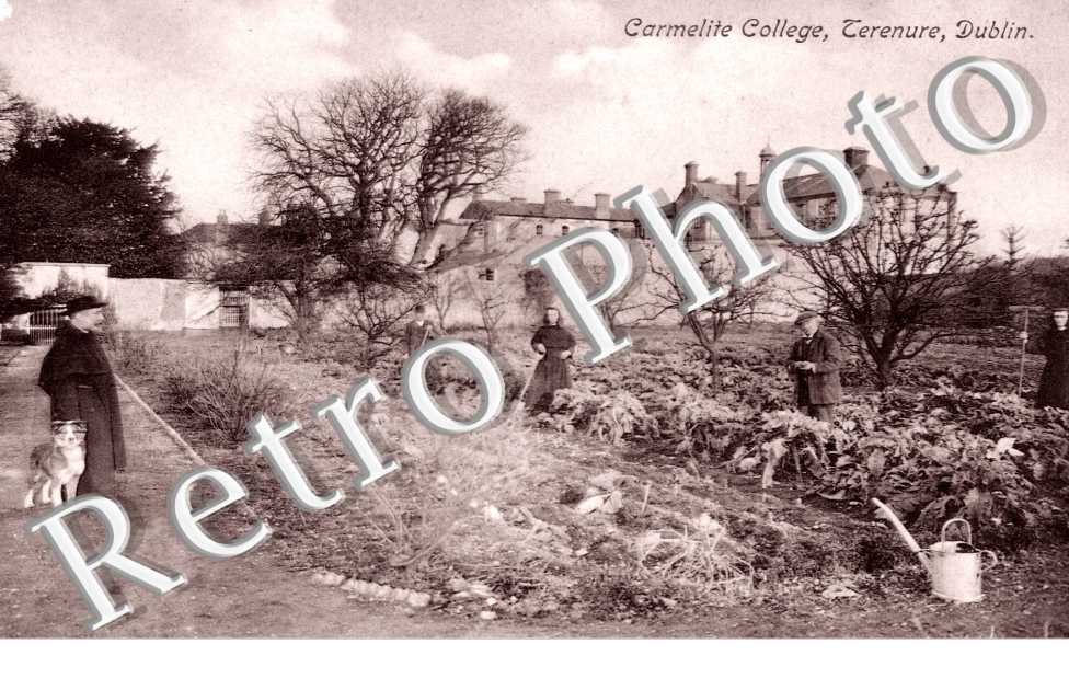 Carmelite College, Terenure