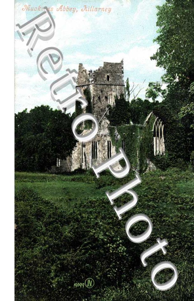Muckross Abbey