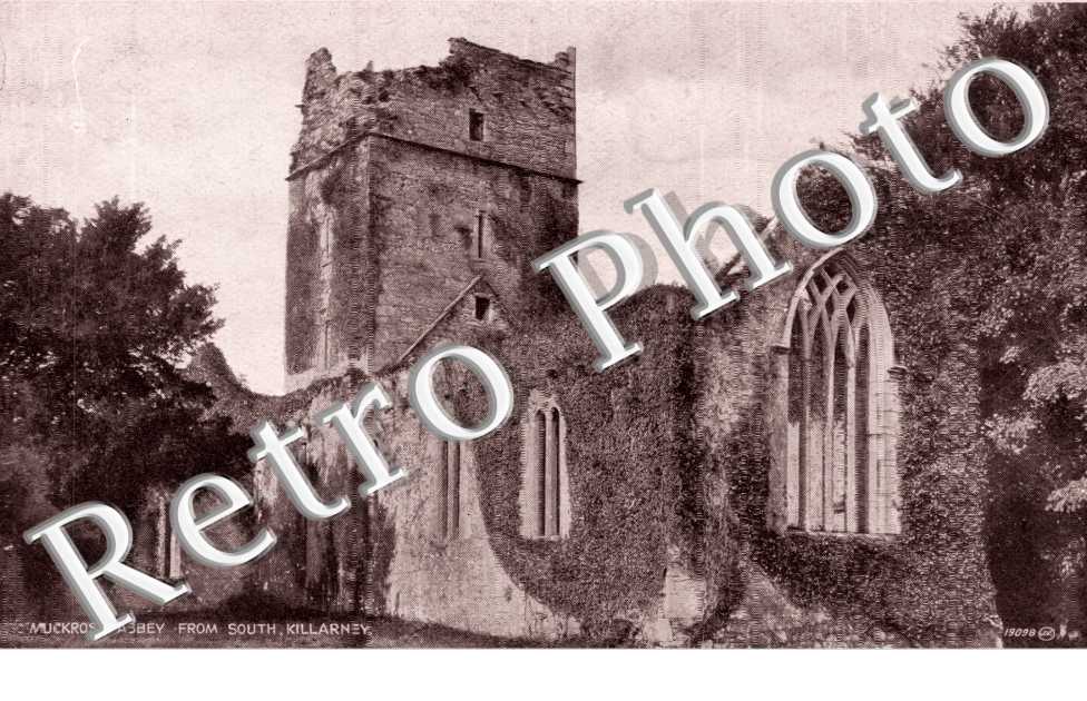 Muckross Abbey