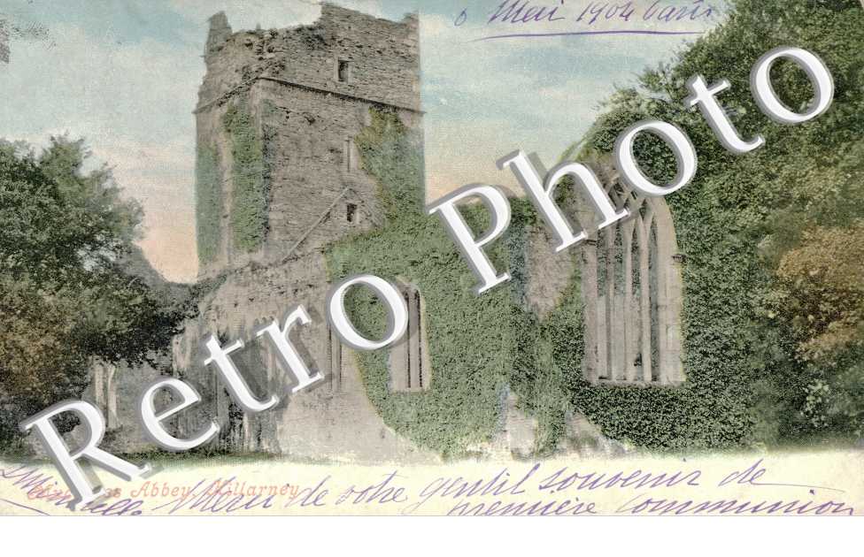Muckross Abbey
