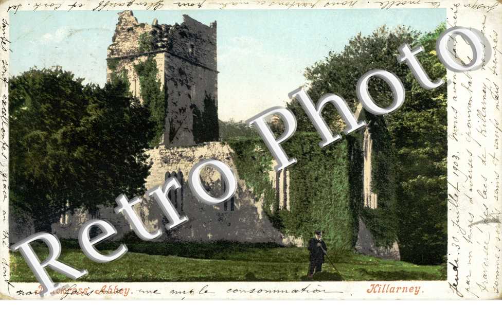 Muckross Abbey