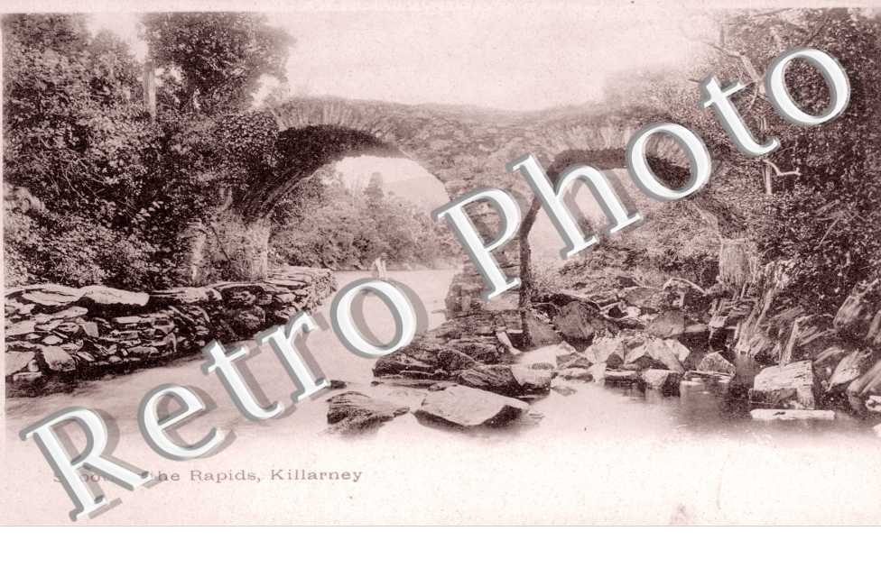 Shooting the Rapids