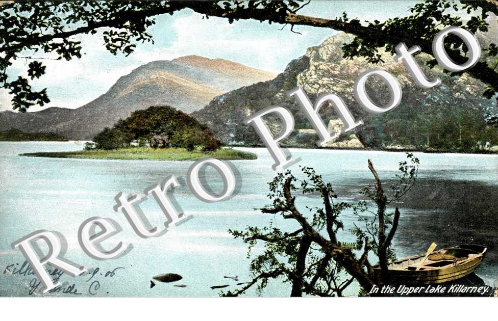 In The Upper Lake