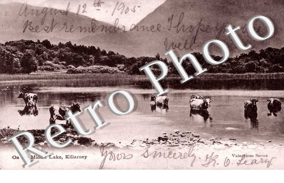 On The Middle Lake