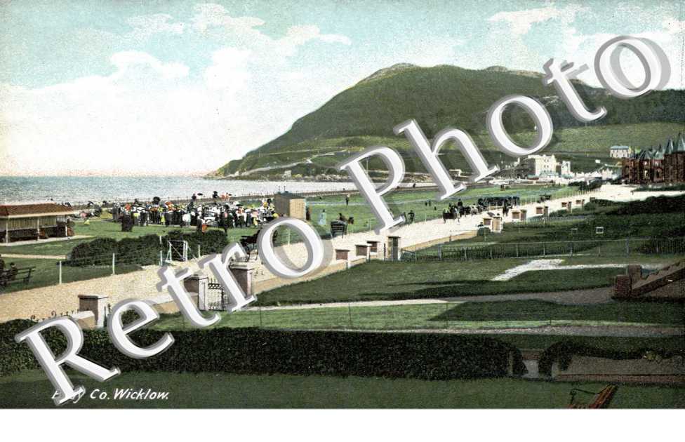 Bray