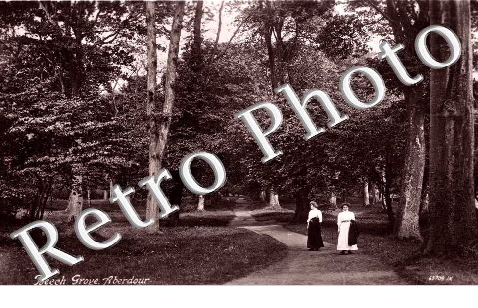 Beech Grove