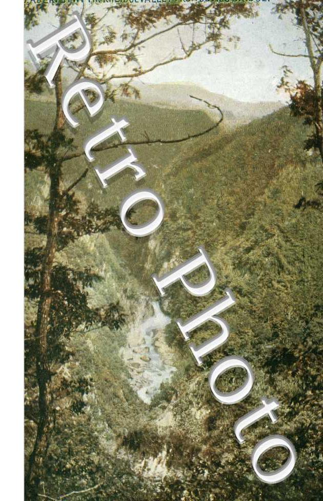 Rheidol Valley from Devils Bridge