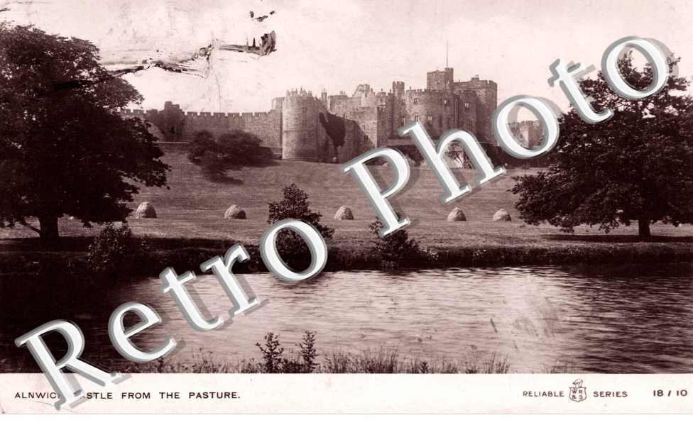 Castle from the Pasture