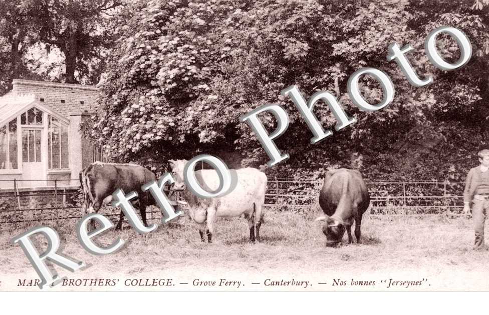 Marist Brothers' College, Nos Bonnes ''Jerseynes''