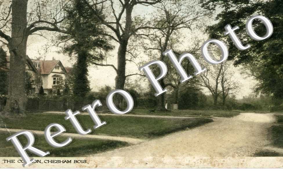 The Common
