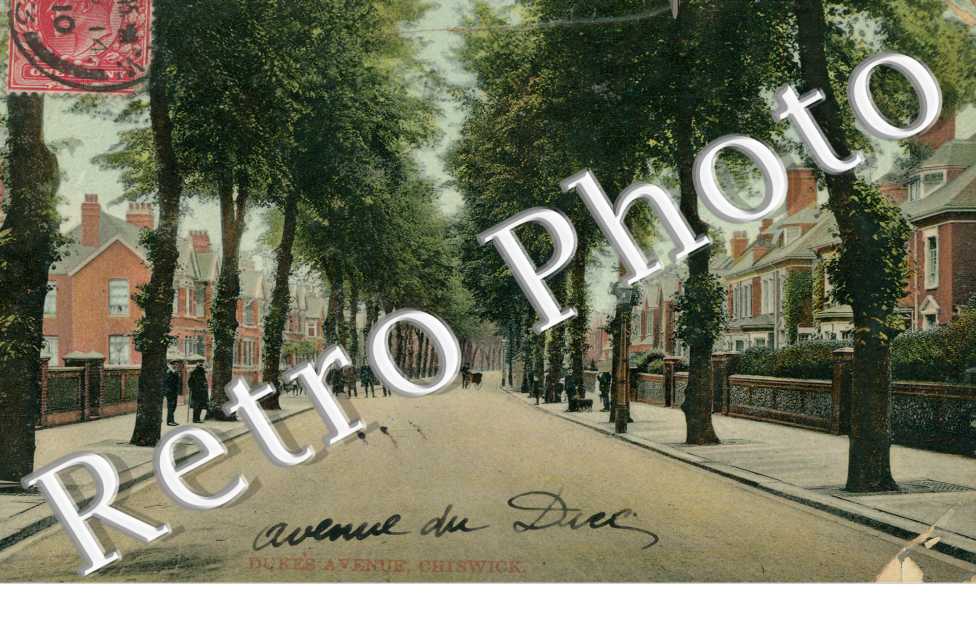 Duke&#039;s Avenue
