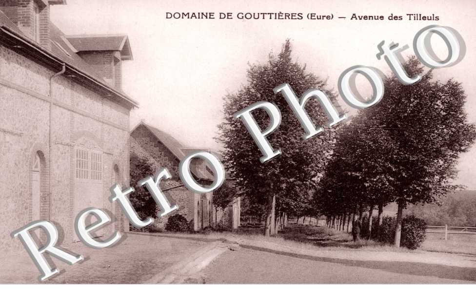 Avenue des Tilleuls