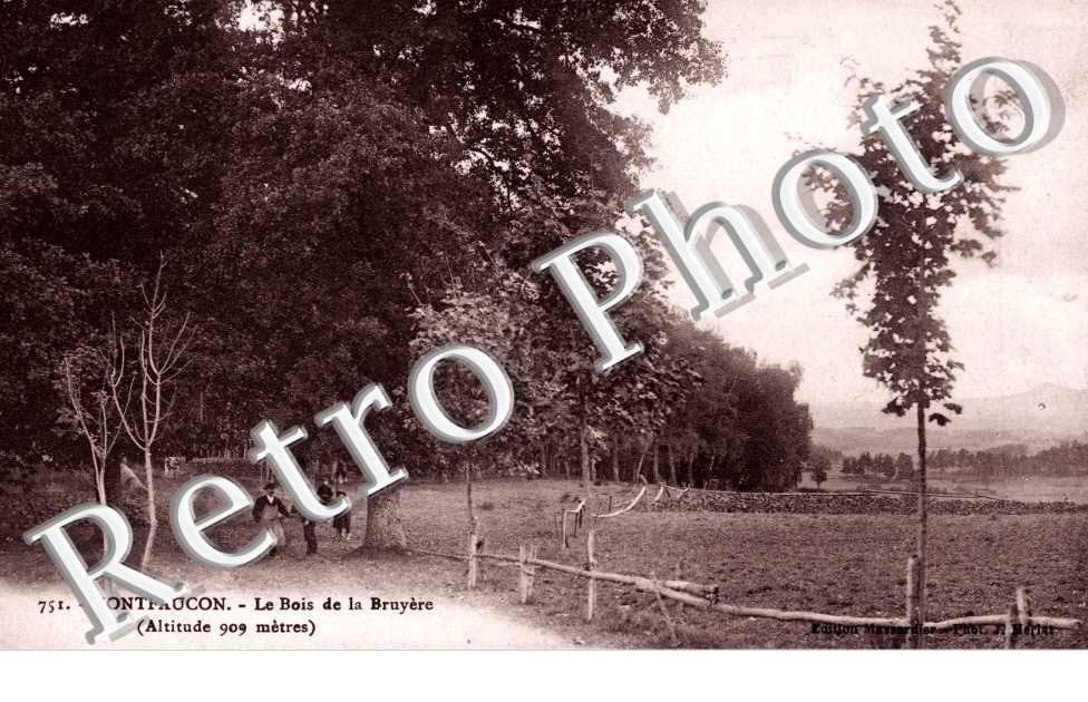 le bois de la Bruyere