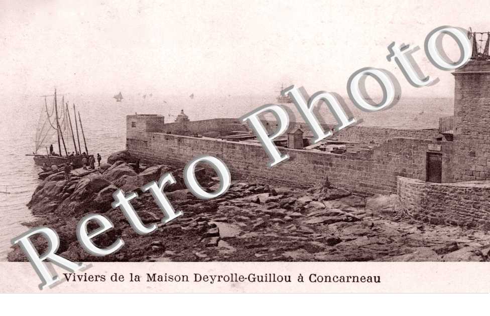 Viviers de la maison Deyrolle-Guillou
