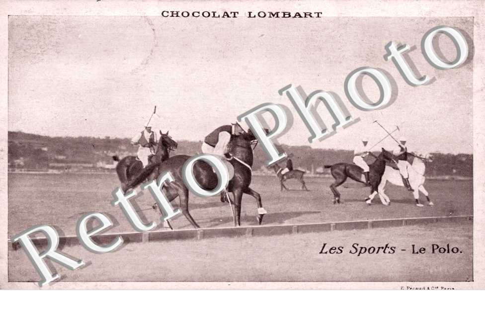 le polo