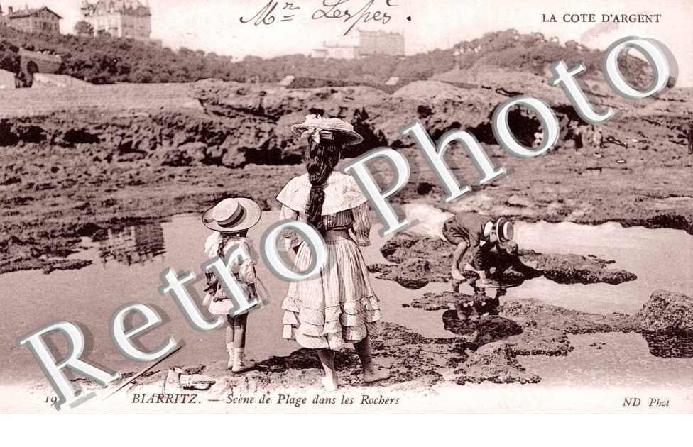 Scene de plage sur les rochers