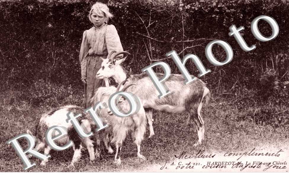 la fille aux chevres