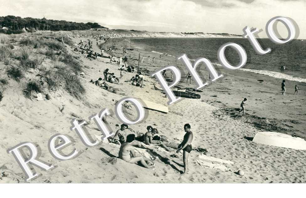 Les Plages de la Bosse et de l&#039;Epine