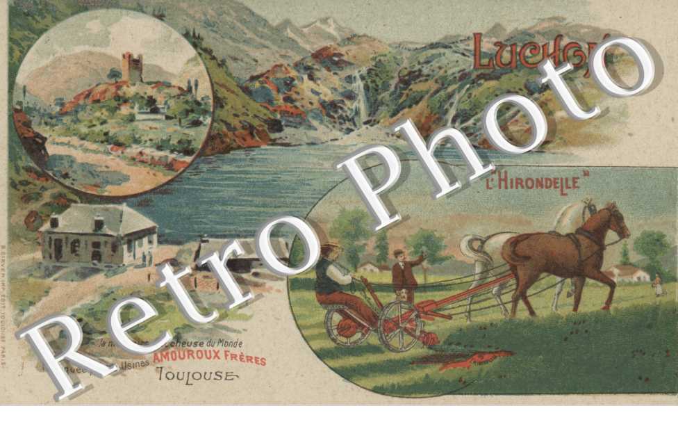 l'hirondelle