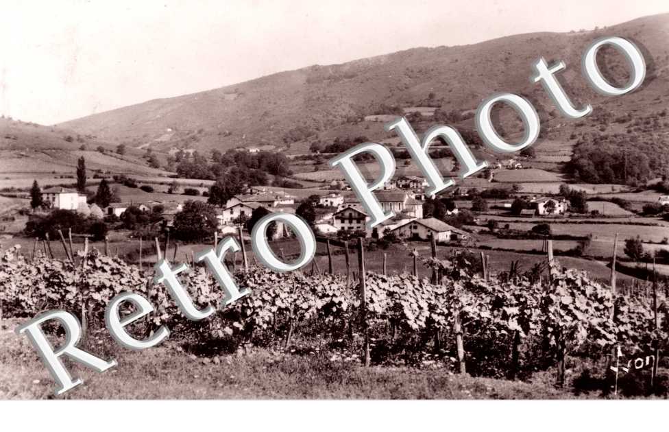 vue generale -annees 50