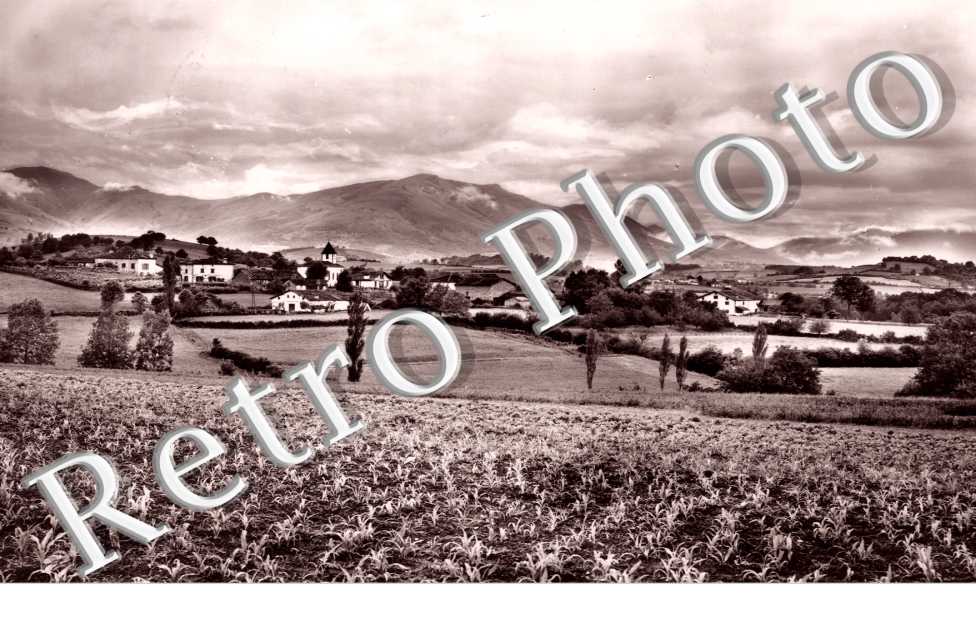 Vue Generale